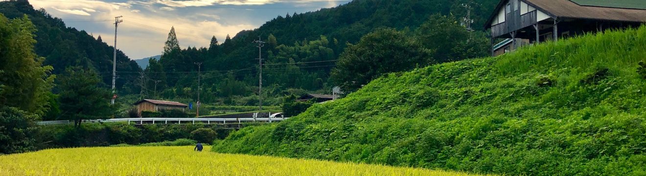 えんがわ